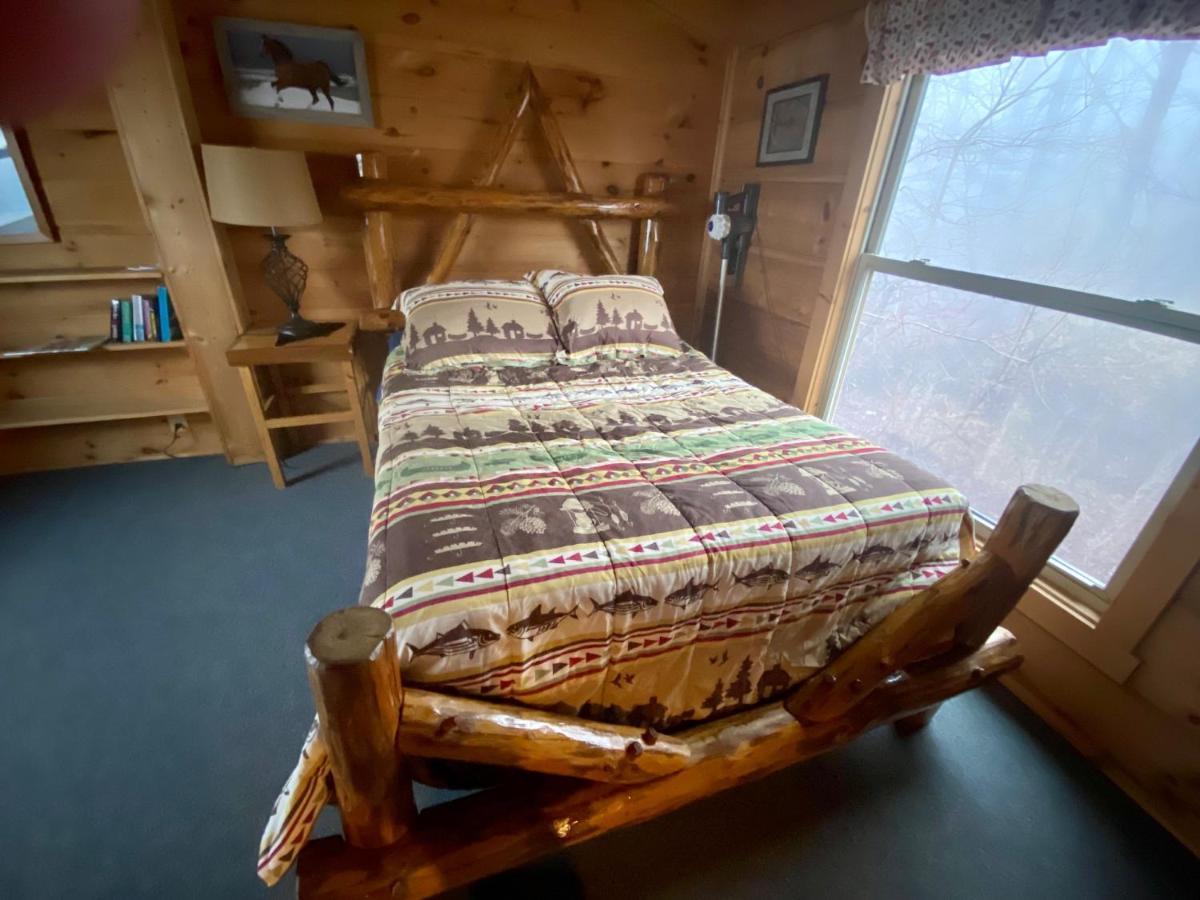 It'S Five O'Clock Here - Cozy Waterfront Cabin With A Hot Tub On The Blue Ridge Parkway! Pet Friendly Fancy Gap Exterior foto